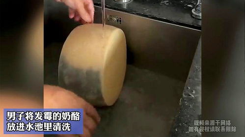 男子将发霉的奶酪,放进水池里清洗
