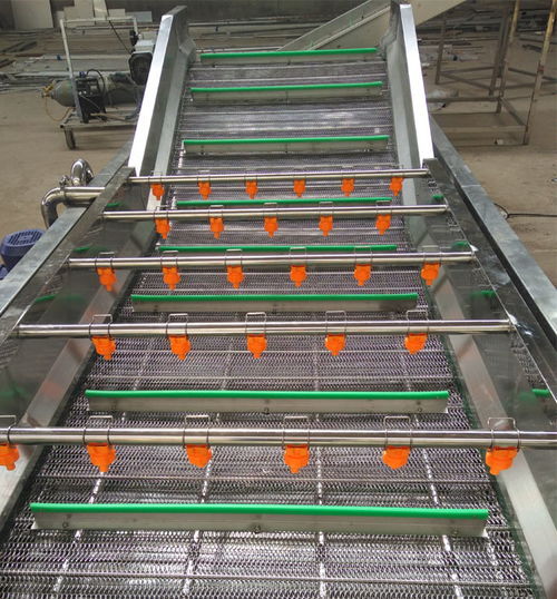 吉林西红柿气泡清洗机厂家产品介绍 高效清洁，多图展示