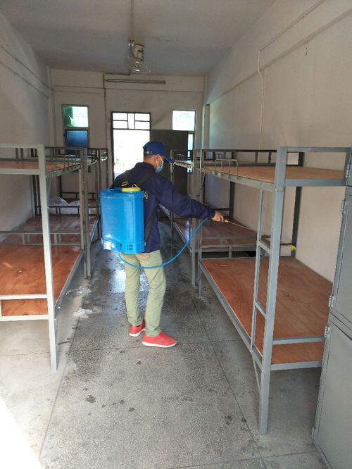 深圳专业杀虫公司 观澜田园灭鼠与环境消毒一体化服务